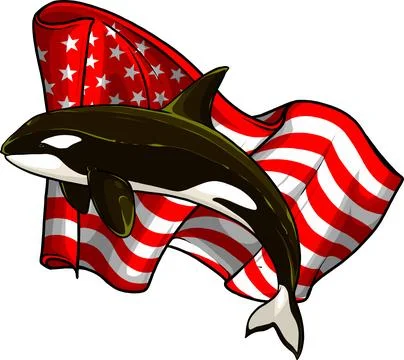 Vector illustration of Orca Killer Whale with usa flag on white background Illustrazione stock