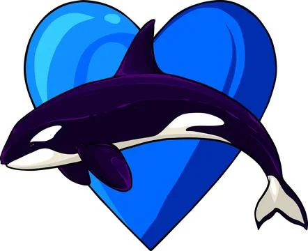 Vector illustration of Orca whale jumping on white background Stock Illustration