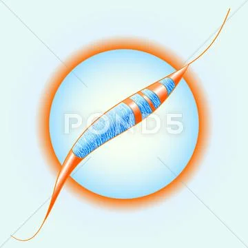 Vector illustration with ornament. Stock Illustration