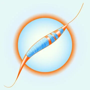 Vector illustration with ornament. Stock Illustration