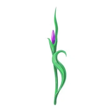 Vector illustration ornamental iris element isolated on white Stock Illustration