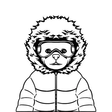 Vector illustration outline black of a bear snowboarder in a winter jacket .. Stock Illustration