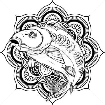 Carp Fishing Illustrations & Vectors