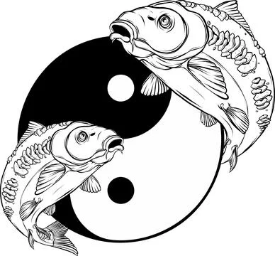 Vector illustration of outline Carp fish design Stock Illustration