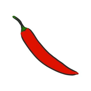 Vector illustration Outline hand drawn sketch of chili pepper , flat style, t Stock Illustration