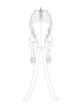 Vector Illustration of outline Mammoth Skeleton on Isolated White Background. Stock Illustration