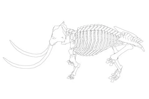 Vector Illustration of outline Mammoth Skeleton on Isolated White Background. Stock Illustration