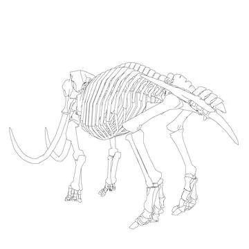 Vector Illustration of outline Mammoth Skeleton on Isolated White Background. Stock Illustration