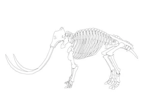 Vector Illustration of outline Mammoth Skeleton on Isolated White Background. Stock Illustration