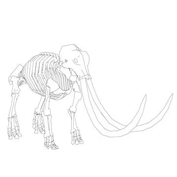 Vector Illustration of outline Mammoth Skeleton on Isolated White Background. Stock Illustration