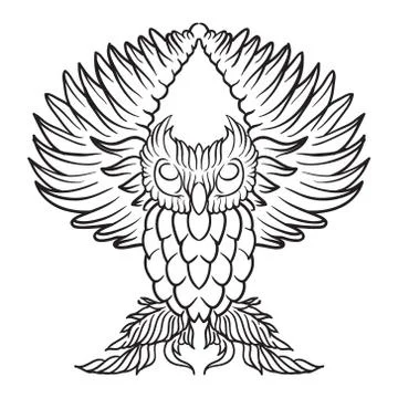 Vector Illustration of an owl | Owl vector, Owl Sketch, Owl Illustration, Owl Stock Illustration