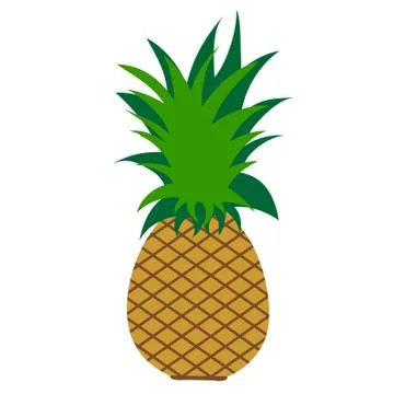 Vector illustration of painted pineapple on white background. Symbol of fruit Illustrazione stock