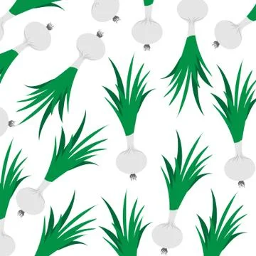 Vector illustration of painted spring onion on white background. Symbol of ve Stock Illustration