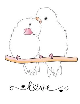 Vector illustration of a pair of parrots in love. Stock Illustration