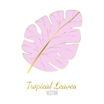 Vector illustration of a palm leaf pink with gold on a white background. A Illustrazione stock