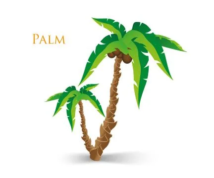 Vector illustration of the palm tree Illustrazione stock