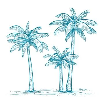 Vector illustration of palm trees Stock Illustration