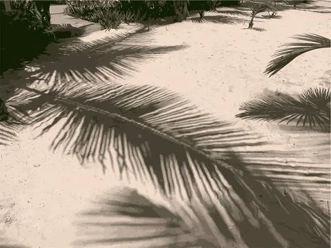 Vector Illustration of palm trees on sandy beach Stock Illustration