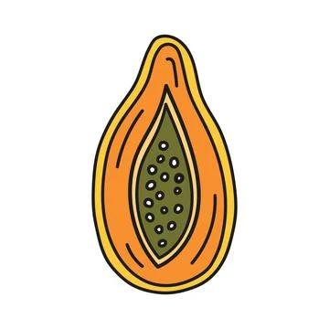 Vector illustration of papaya cut in half in doodle style. 스톡 일러스트