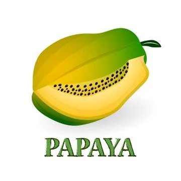 Vector illustration . papaya on white background Stock Illustration