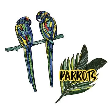 Vector illustration with parrots on white background. Stock Illustration