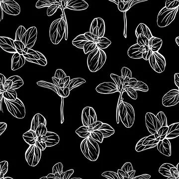 Vector illustration pattern with basil leaves Stock Illustration