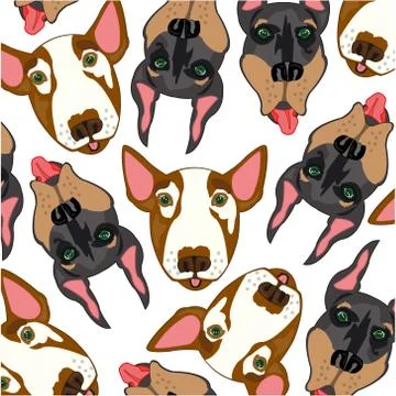 Vector illustration of the pattern of the mugs of the dogs doberman and bull  Stock Illustration