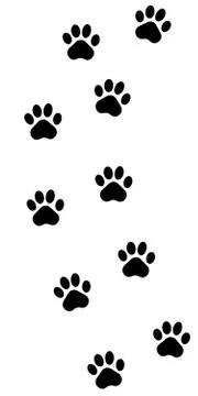 Vector illustration of paws print on white background. Islated. Stock Illustration