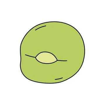 Vector illustration of pea seed isolated on white background. Cartoon style Ilustración de archivo