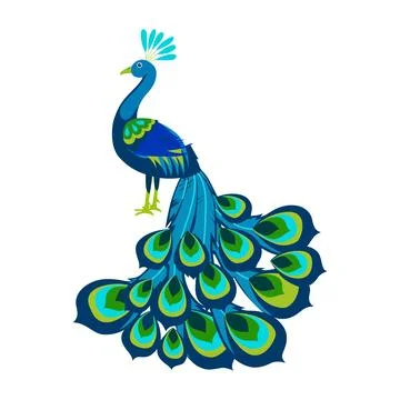 Vector illustration of peacock Stock Illustration