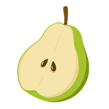 Vector illustration of a pear cut in half. Green fruit on a white background. Stock Illustration