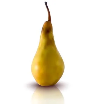 Vector illustration of pear Stock Illustration