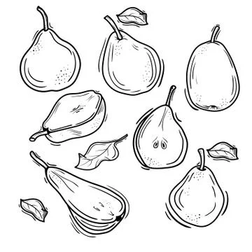 Vector illustration of pears in Doodle style. Stock Illustration