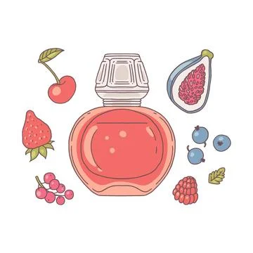 Vector illustration of perfume bottle set and berry ingredients. Illustration
