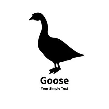 Vector illustration of a pet goose. Stock Illustration