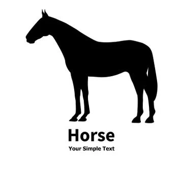 Vector illustration of a pet horse Stock Illustration
