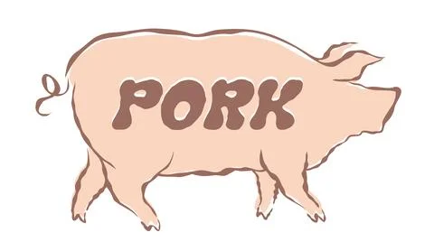 Vector illustration of pig in hand drawing style. Vector icon for food from.. 库存插图