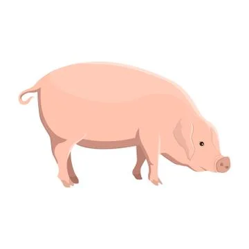 Vector illustration of a pig Stock Illustration