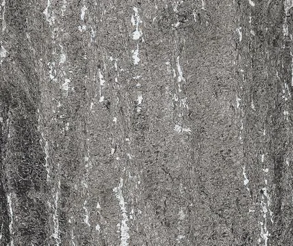 Vector illustration of Pine bark close-up. Texture of Pinus strobus or Weym.. Stock Illustration