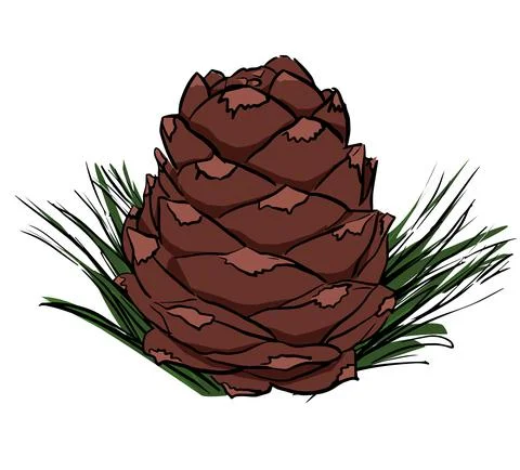 Vector illustration of pine cone hand drawing sketch Illustrazione stock