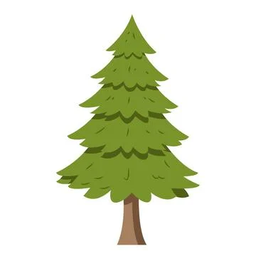 Vector illustration of a pine tree in cartoon style isolated on white backg.. Stock Illustration