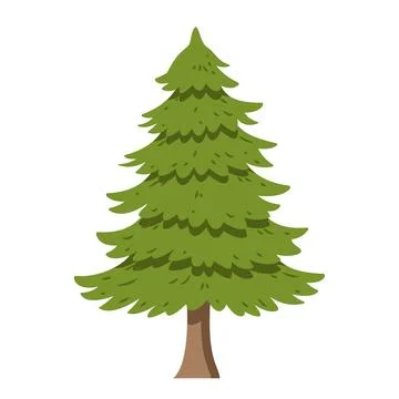 Vector illustration of a pine tree in cartoon style isolated on white backg.. Stock Illustration