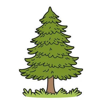 Vector illustration of a pine tree in a cartoon, outlined style, isolated o.. Stock Illustration
