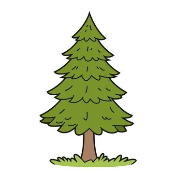 Vector illustration of a pine tree in a cartoon, outlined style, isolated o.. Stock Illustration