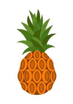 Vector illustration of pineapple isolated on white background Stock Illustration