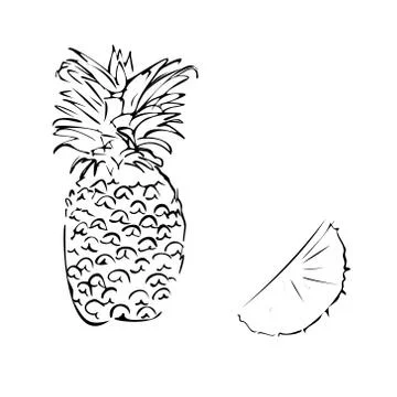 Vector illustration of a pineapple on a white isolated background. Shop sketch Stock Illustration