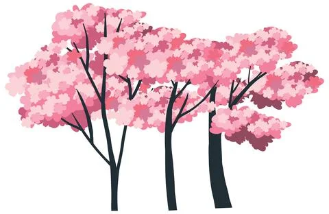 Vector Illustration of Pink Cherry Blossom Trees on White Background Stockillustratie