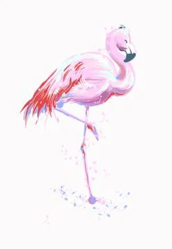 Vector illustration pink flamingo. Exotic bird. Cool flamingo decorative sketch Stock Illustration