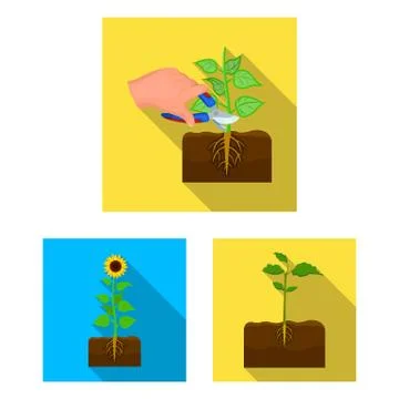 Vector illustration of plant and bean sign. Set of plant and process vector icon Illustrazione stock