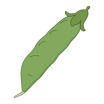 Vector illustration of pod peas isolated on white background. Cartoon style Ilustración de archivo